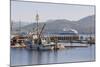 Cruise Ship Passing Harbour, Alert Bay, British Columbia, Canada, North America-Michael DeFreitas-Mounted Photographic Print