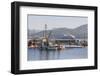 Cruise Ship Passing Harbour, Alert Bay, British Columbia, Canada, North America-Michael DeFreitas-Framed Photographic Print