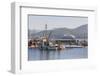 Cruise Ship Passing Harbour, Alert Bay, British Columbia, Canada, North America-Michael DeFreitas-Framed Photographic Print