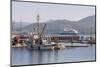 Cruise Ship Passing Harbour, Alert Bay, British Columbia, Canada, North America-Michael DeFreitas-Mounted Photographic Print