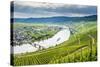 Cruise Ship Passing the Riverbend at Minnheim, Moselle Valley, Rhineland-Palatinate, Germany-Michael Runkel-Stretched Canvas