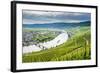 Cruise Ship Passing the Riverbend at Minnheim, Moselle Valley, Rhineland-Palatinate, Germany-Michael Runkel-Framed Photographic Print