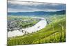 Cruise Ship Passing the Riverbend at Minnheim, Moselle Valley, Rhineland-Palatinate, Germany-Michael Runkel-Mounted Photographic Print