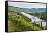 Cruise Ship Passing the Vineyard Near Lieser in the Moselle Valley, Rhineland-Palatinate, Germany-Michael Runkel-Framed Stretched Canvas