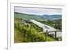 Cruise Ship Passing the Vineyard Near Lieser in the Moselle Valley, Rhineland-Palatinate, Germany-Michael Runkel-Framed Photographic Print