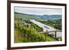 Cruise Ship Passing the Vineyard Near Lieser in the Moselle Valley, Rhineland-Palatinate, Germany-Michael Runkel-Framed Photographic Print