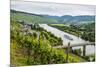 Cruise Ship Passing the Vineyard Near Lieser in the Moselle Valley, Rhineland-Palatinate, Germany-Michael Runkel-Mounted Photographic Print