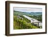 Cruise Ship Passing the Vineyard Near Lieser in the Moselle Valley, Rhineland-Palatinate, Germany-Michael Runkel-Framed Photographic Print