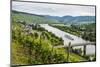 Cruise Ship Passing the Vineyard Near Lieser in the Moselle Valley, Rhineland-Palatinate, Germany-Michael Runkel-Mounted Photographic Print