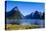 Cruise Ship Passing Through Milford Sound-Michael-Stretched Canvas