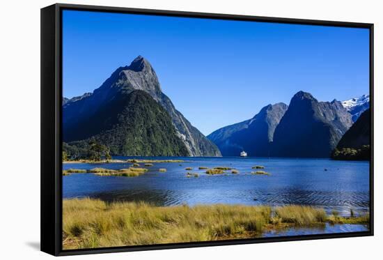 Cruise Ship Passing Through Milford Sound-Michael-Framed Stretched Canvas