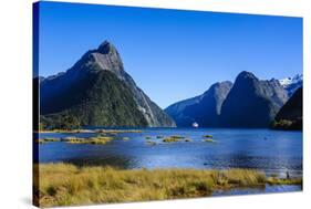 Cruise Ship Passing Through Milford Sound-Michael-Stretched Canvas