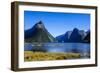 Cruise Ship Passing Through Milford Sound-Michael-Framed Photographic Print