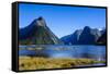 Cruise Ship Passing Through Milford Sound-Michael-Framed Stretched Canvas