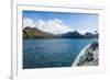 Cruise ship shipping to Ocean Harbour, South Georgia, Antarctica, Polar Regions-Michael Runkel-Framed Photographic Print