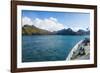 Cruise ship shipping to Ocean Harbour, South Georgia, Antarctica, Polar Regions-Michael Runkel-Framed Photographic Print