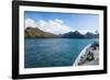 Cruise ship shipping to Ocean Harbour, South Georgia, Antarctica, Polar Regions-Michael Runkel-Framed Photographic Print