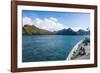 Cruise ship shipping to Ocean Harbour, South Georgia, Antarctica, Polar Regions-Michael Runkel-Framed Photographic Print