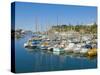 Cruise Ships and Yachts in the Harbour at Funchal, Madeira, Portugal, Atlantic, Europe-Neale Clarke-Stretched Canvas