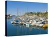 Cruise Ships and Yachts in the Harbour at Funchal, Madeira, Portugal, Atlantic, Europe-Neale Clarke-Stretched Canvas