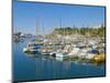 Cruise Ships and Yachts in the Harbour at Funchal, Madeira, Portugal, Atlantic, Europe-Neale Clarke-Mounted Photographic Print