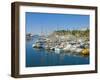 Cruise Ships and Yachts in the Harbour at Funchal, Madeira, Portugal, Atlantic, Europe-Neale Clarke-Framed Photographic Print