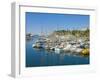 Cruise Ships and Yachts in the Harbour at Funchal, Madeira, Portugal, Atlantic, Europe-Neale Clarke-Framed Photographic Print