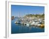 Cruise Ships and Yachts in the Harbour at Funchal, Madeira, Portugal, Atlantic, Europe-Neale Clarke-Framed Photographic Print