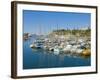 Cruise Ships and Yachts in the Harbour at Funchal, Madeira, Portugal, Atlantic, Europe-Neale Clarke-Framed Photographic Print