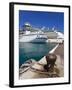 Cruise Ships at Prince George Wharf, Nassau, New Providence Island, Bahamas, West Indies-Richard Cummins-Framed Photographic Print