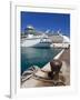 Cruise Ships at Prince George Wharf, Nassau, New Providence Island, Bahamas, West Indies-Richard Cummins-Framed Photographic Print