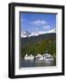 Cruise Ships Docked in Skagway, Southeast Alaska, United States of America, North America-Richard Cummins-Framed Premium Photographic Print