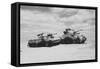 Cruiser and Sherman?, 1943 (B/W Photo)-null-Framed Stretched Canvas