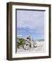 Cruiser Bicycle on the Beach, Miami South Beach, Art Deco District, Florida, Usa-Axel Schmies-Framed Photographic Print