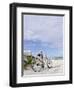 Cruiser Bicycle on the Beach, Miami South Beach, Art Deco District, Florida, Usa-Axel Schmies-Framed Photographic Print