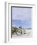 Cruiser Bicycle on the Beach, Miami South Beach, Art Deco District, Florida, Usa-Axel Schmies-Framed Photographic Print