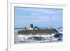 Cruiseship Costa Deliciosa, Disko Bay, Greenland-Françoise Gaujour-Framed Photographic Print