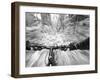 Cruising down a buff section of singletrack trail, West Glacier, Montana, USA-Chuck Haney-Framed Photographic Print