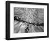 Cruising down a buff section of singletrack trail, West Glacier, Montana, USA-Chuck Haney-Framed Photographic Print