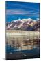 Cruising through Glacier Bay National Park, Alaska, United States of America, North America-Laura Grier-Mounted Photographic Print