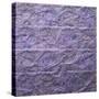 Crumpled Lilac Wings-Dorothy Berry-Lound-Stretched Canvas