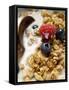 Crunchy Muesli with Berries and Milk-null-Framed Stretched Canvas