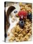 Crunchy Muesli with Berries and Milk-null-Stretched Canvas