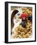 Crunchy Muesli with Berries and Milk-null-Framed Photographic Print