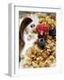 Crunchy Muesli with Berries and Milk-null-Framed Photographic Print