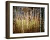 Crunchy-Ursula Abresch-Framed Premium Photographic Print