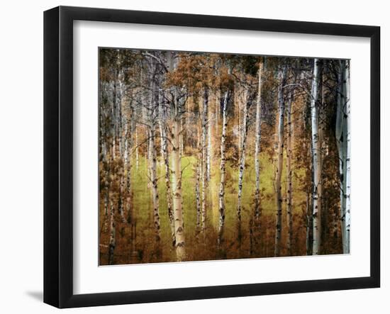 Crunchy-Ursula Abresch-Framed Premium Photographic Print