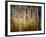 Crunchy-Ursula Abresch-Framed Premium Photographic Print