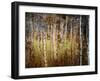 Crunchy-Ursula Abresch-Framed Photographic Print