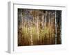 Crunchy-Ursula Abresch-Framed Photographic Print